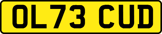 OL73CUD