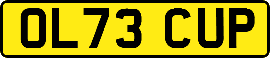 OL73CUP