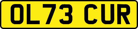 OL73CUR