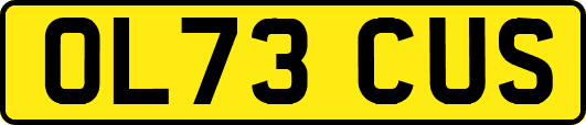OL73CUS
