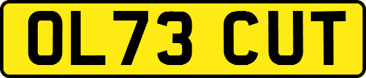 OL73CUT