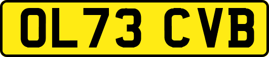 OL73CVB