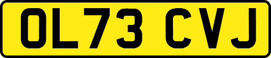 OL73CVJ