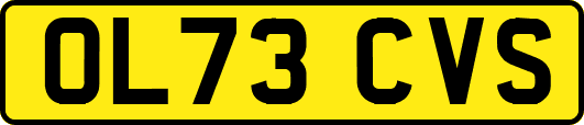 OL73CVS
