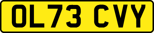 OL73CVY