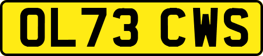 OL73CWS