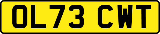OL73CWT