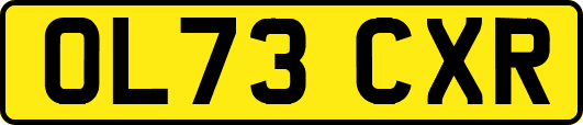 OL73CXR