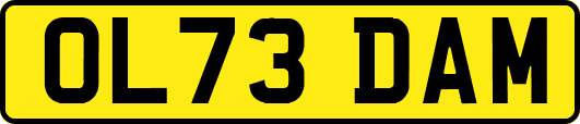 OL73DAM
