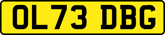 OL73DBG