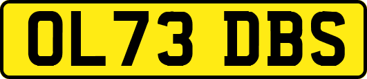 OL73DBS