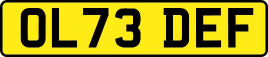 OL73DEF