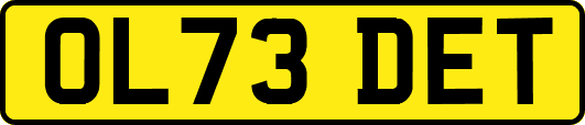 OL73DET
