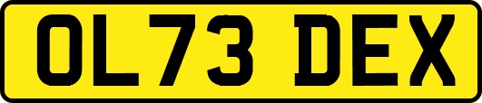 OL73DEX