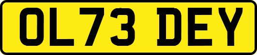 OL73DEY