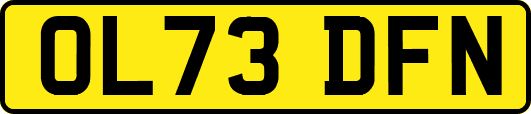 OL73DFN