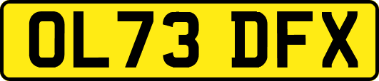 OL73DFX