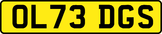 OL73DGS