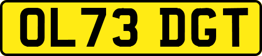 OL73DGT
