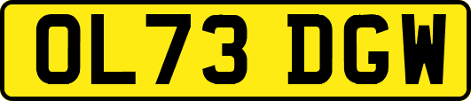 OL73DGW