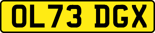 OL73DGX