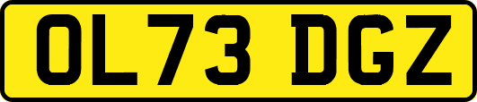 OL73DGZ