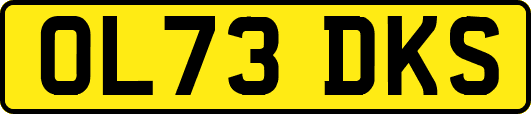 OL73DKS
