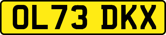 OL73DKX