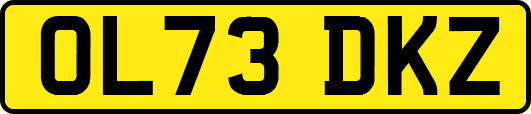OL73DKZ