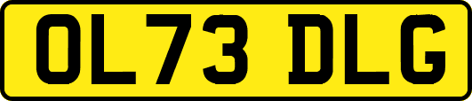 OL73DLG