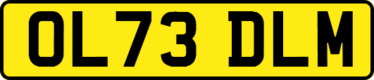 OL73DLM