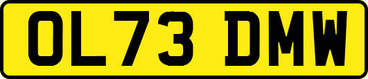 OL73DMW