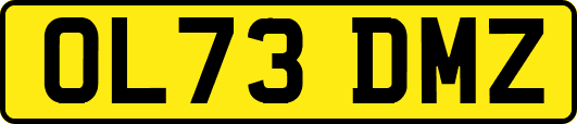 OL73DMZ