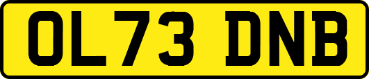 OL73DNB