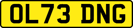 OL73DNG