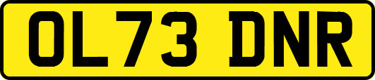 OL73DNR