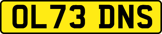 OL73DNS