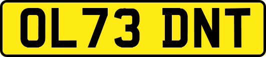 OL73DNT