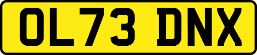 OL73DNX