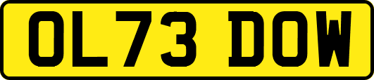 OL73DOW