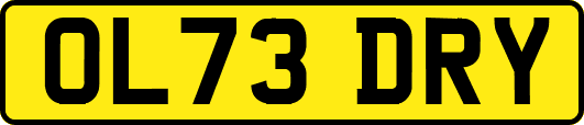 OL73DRY