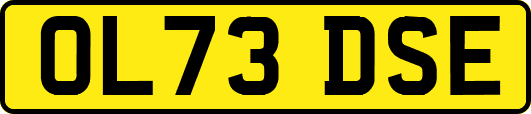 OL73DSE