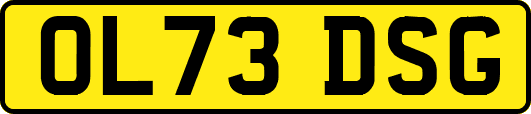 OL73DSG