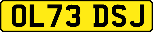 OL73DSJ