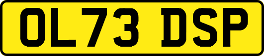 OL73DSP