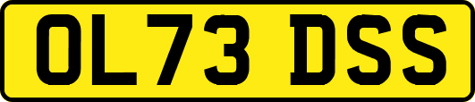 OL73DSS