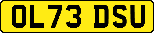 OL73DSU
