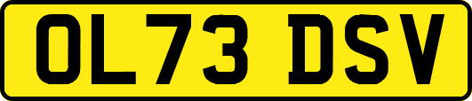 OL73DSV