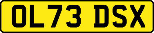 OL73DSX