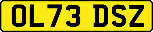 OL73DSZ